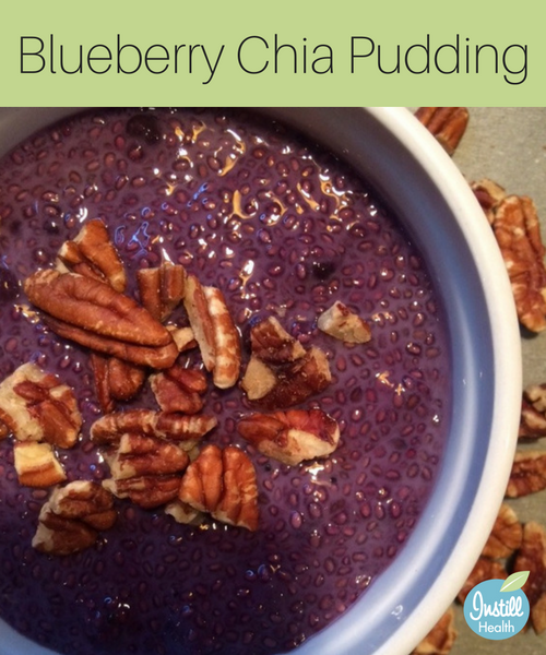 blueberry-chia-pudding